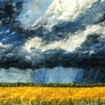 Canola Storm Colours