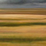 Grassland Expanse