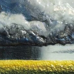 Canola Cloud Burst